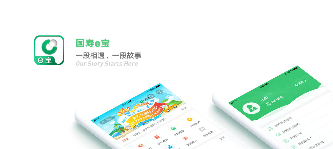 中国人寿e宝帐最新版，全面解析与应用指南
