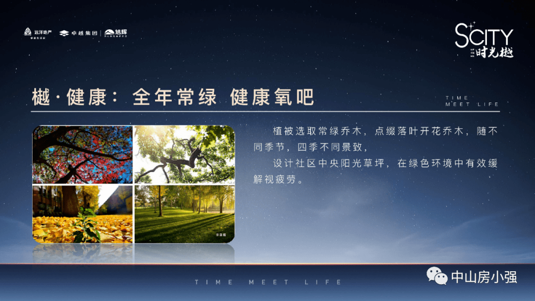 陈店雍景二期最新消息全面解析