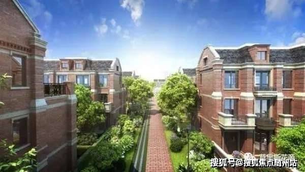 郑京浩最新的电视剧，深度解析与期待