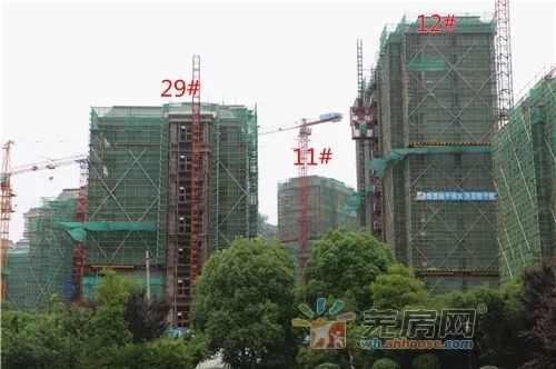 东方蓝海湾最新工程进度报告