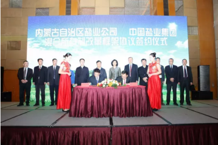 中国盐业改革最新消息