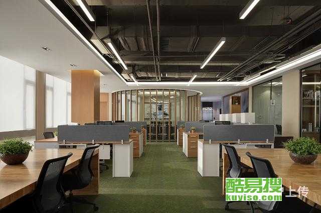 南京万能猪最新进展，科技育种的新里程碑