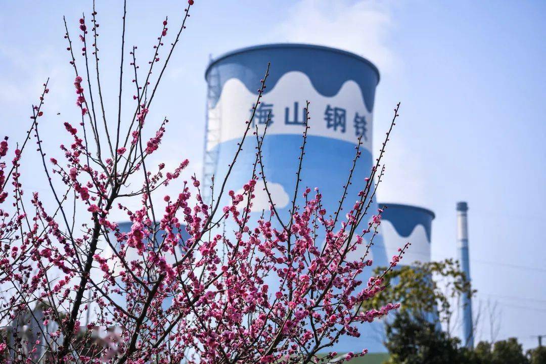 梅山钢厂搬迁最新消息及其影响分析