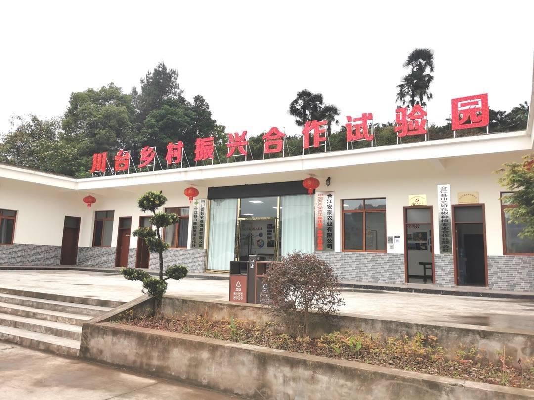 合江撤县变市最新进展，迈向新的历史阶段的新机遇