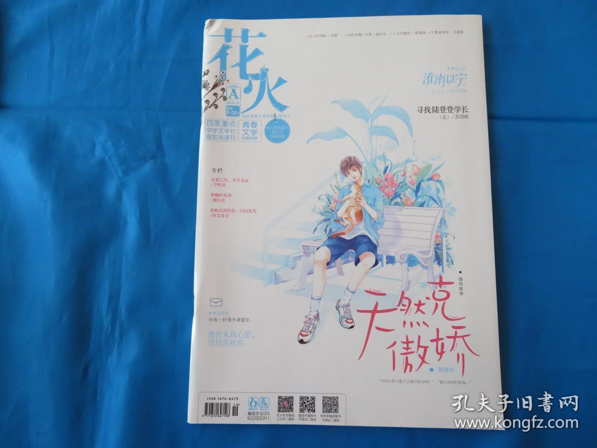 花火杂志最新一期期号，探索前沿，点燃生活