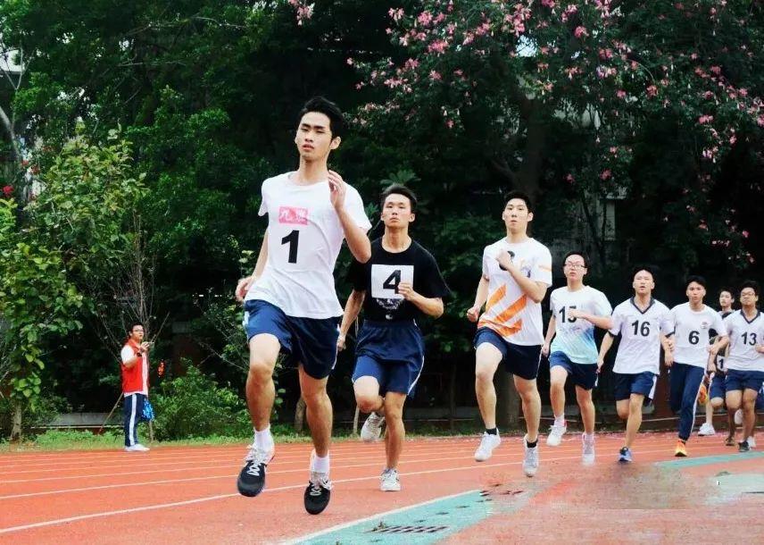 大学生来了最新一期，青春活力的绽放与未来展望