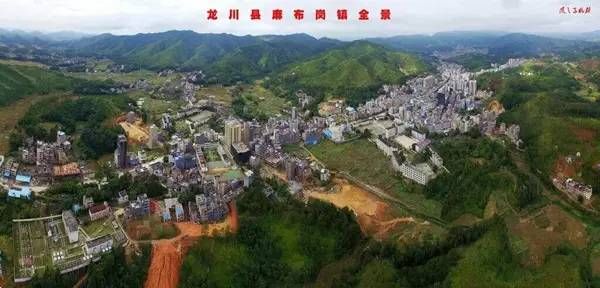 龙川县邓振中最新消息概览