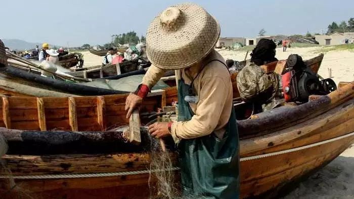 柴油补贴政策最新消息对渔民的影响