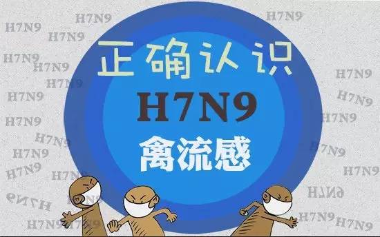 澳门 第46页