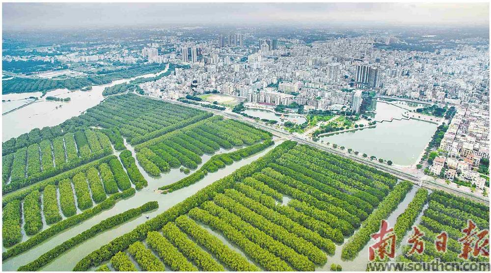 电白水东地区最新地皮信息详解