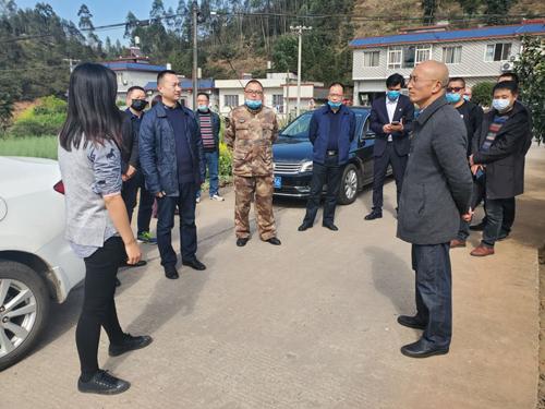成都三圣乡最新项目，重塑乡村魅力，引领城市新风尚