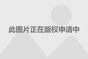 仁寿欧尚最新动态，揭开未来发展的新篇章