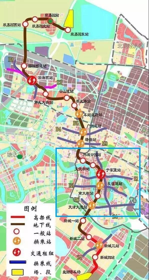 滨海新区B1最新消息，发展动态与前景展望