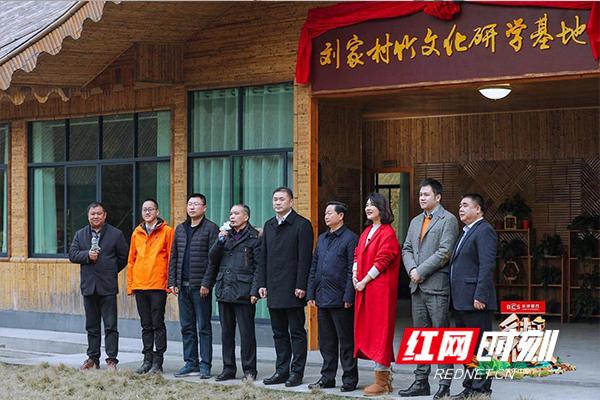 桃江红网今日最新消息全面解析
