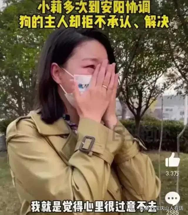 小莉帮忙最新一期内容深度解析