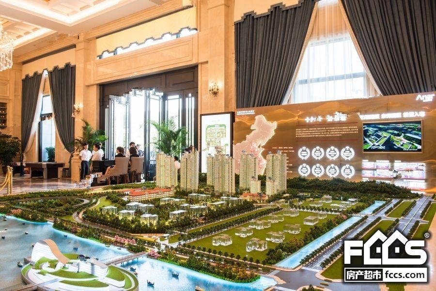 横琴K2荔枝湾最新消息，发展动态与前景展望