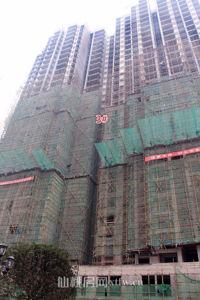 仙桃康湾一品最新消息全面解析