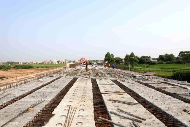 平南大安公路最新消息深度解析