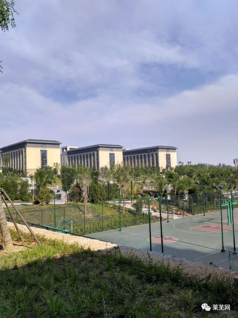 山东财经大学莱芜校区最新消息深度解析