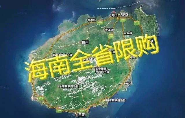容大东海岸最新消息全面解读