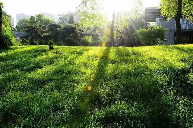 早晨的空气是最新鲜的，唤醒自然与生活的美好旋律
