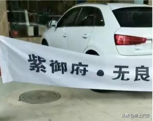 六安紫御府最新动态，引领城市发展的璀璨明珠