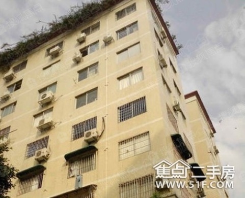 桑植二手房最新消息全面解析