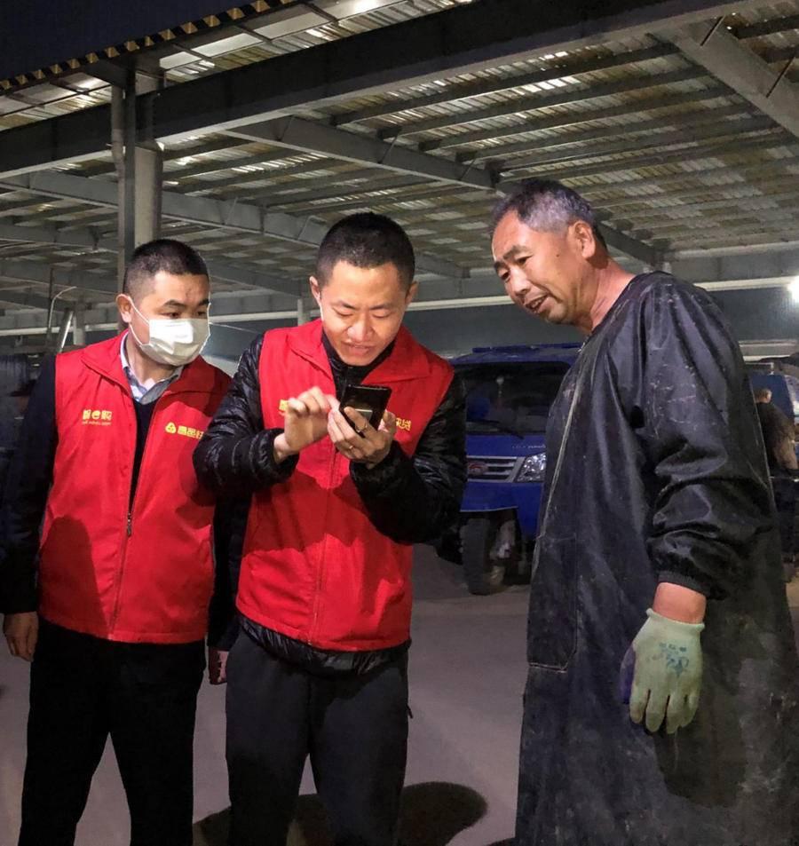 昌邑大姜最新价格表及其市场分析